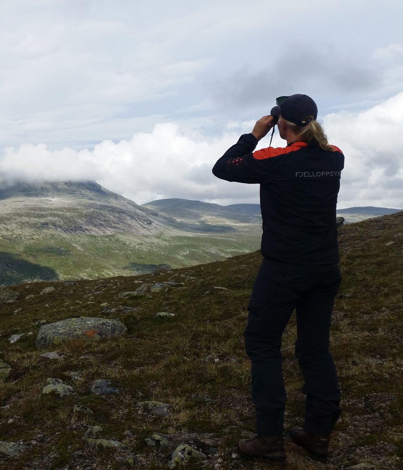 Dame som er fjelloppsyn ser i kikkert