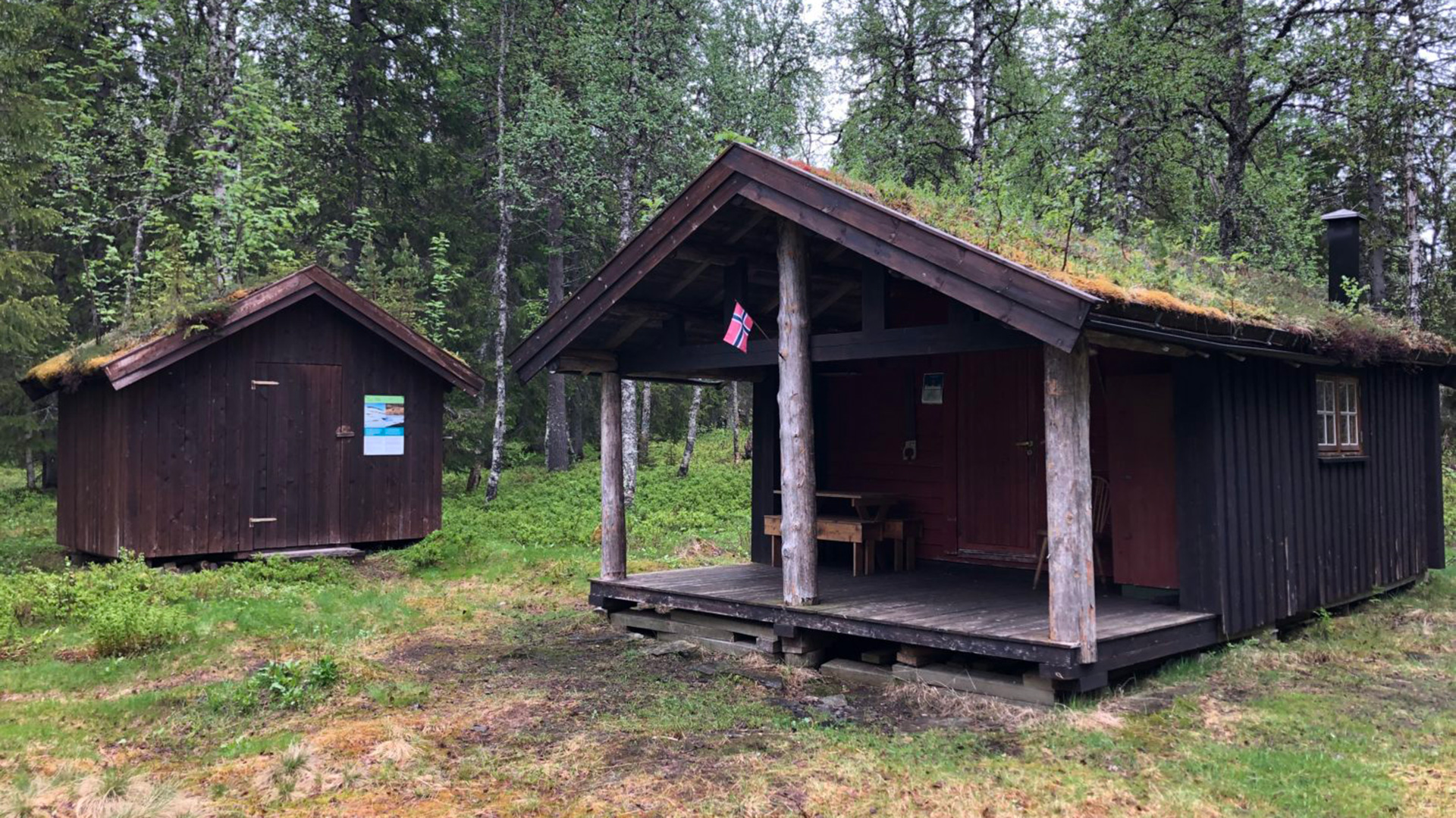 Forest cabin in Namskroken Namsskogan fjellstyre - open cabin