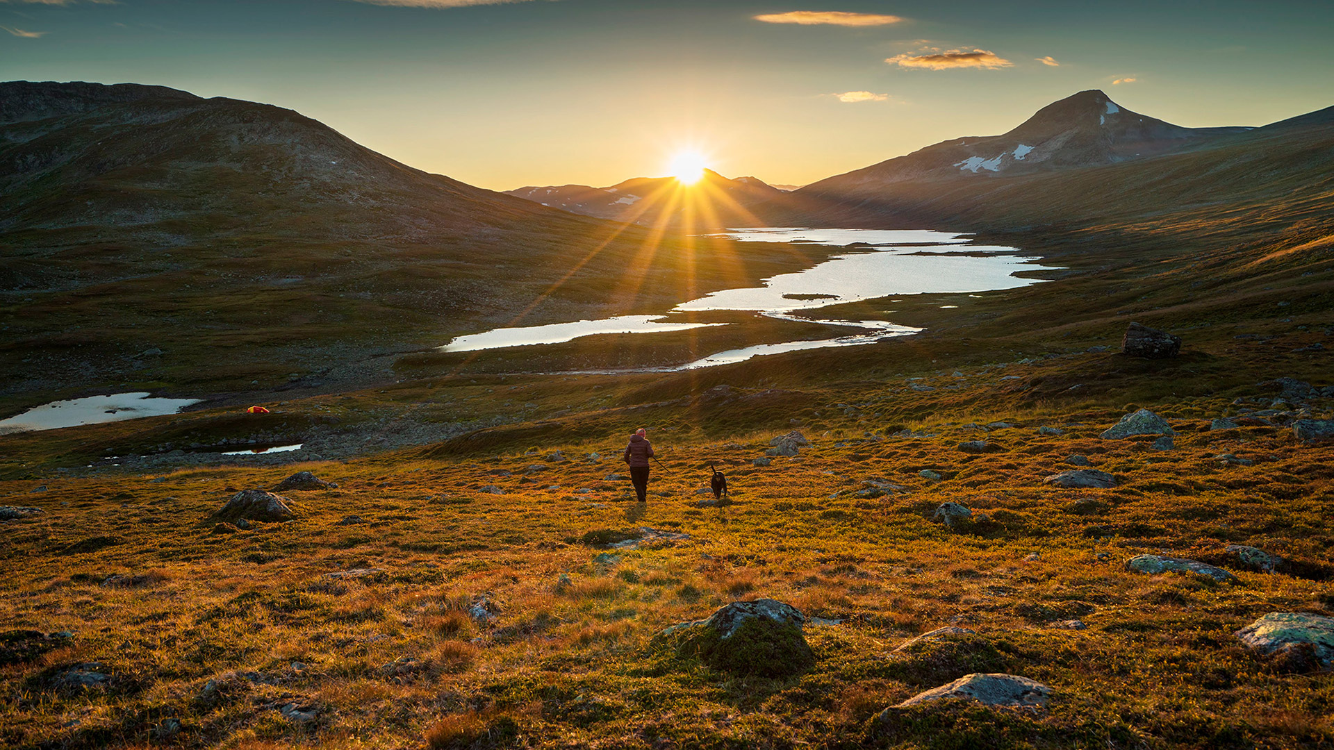 Solnedgang i Børgefjell dame på tur med hund mot vann